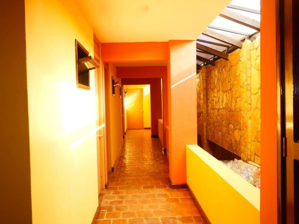 126361202_113742480555030_792961521923840766_n